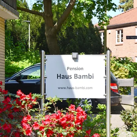 Pension Haus Bambi Molln Exterior photo